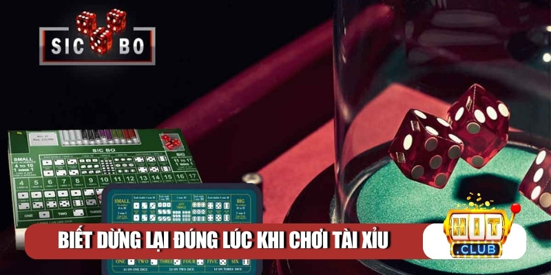 Biết dừng lại đúng lúc khi chơi tài xỉu