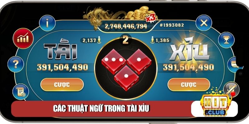 Các thuật ngữ trong tài xỉu