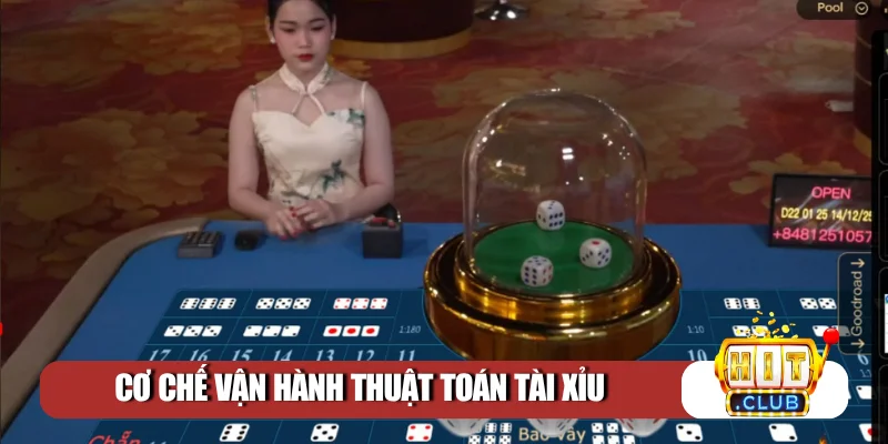 Bí quyết làm chủ quy luật cá cược
