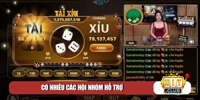Có nhiều các hội nhóm hỗ trợ
